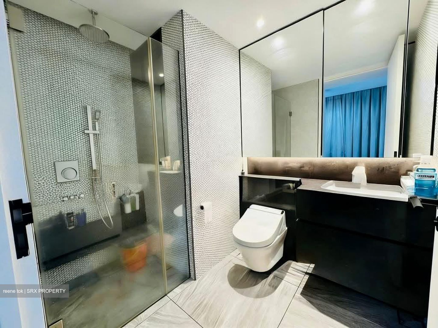 10 Evelyn (D11), Apartment #547931461